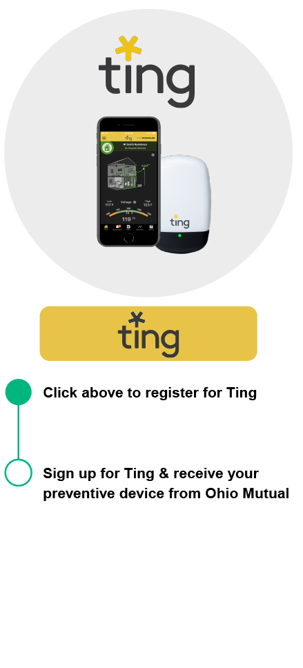 ting